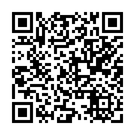QR code for LSQ919