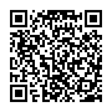 QR code for LSX299