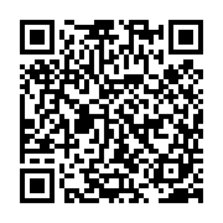 QR code for LUI441
