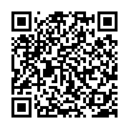 QR code for LUL739
