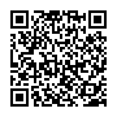 QR code for LUN239