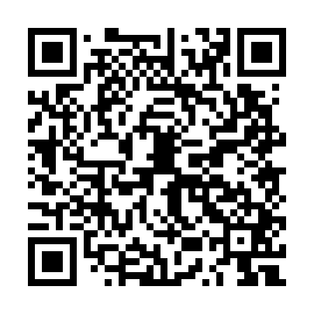 QR code for LUP741