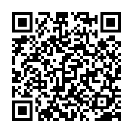 QR code for LVO549