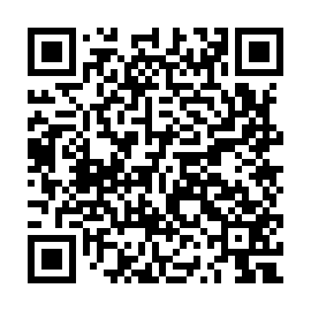 QR code for LVO953
