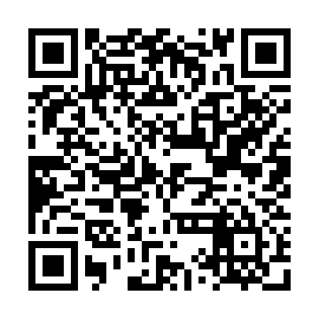 QR code for LYI335