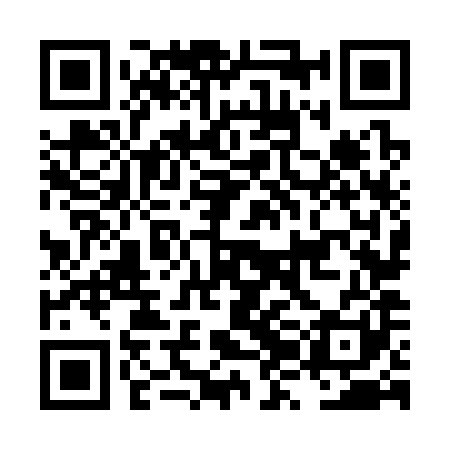 QR code for LZN381