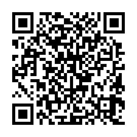 QR code for MAE389