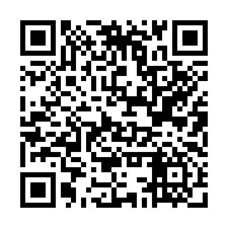 QR code for MCP397