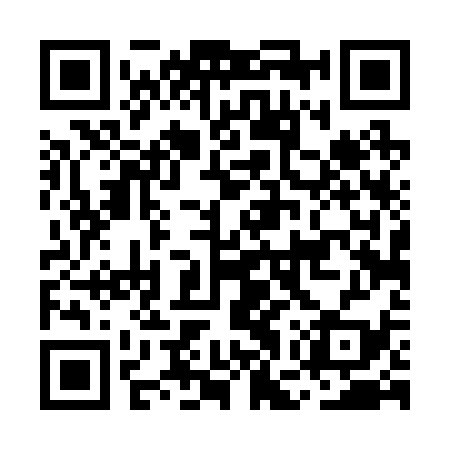 QR code for MGT239