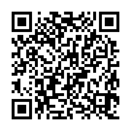 QR code for MIC383