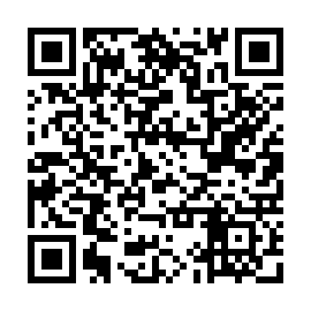 QR code for MIT323
