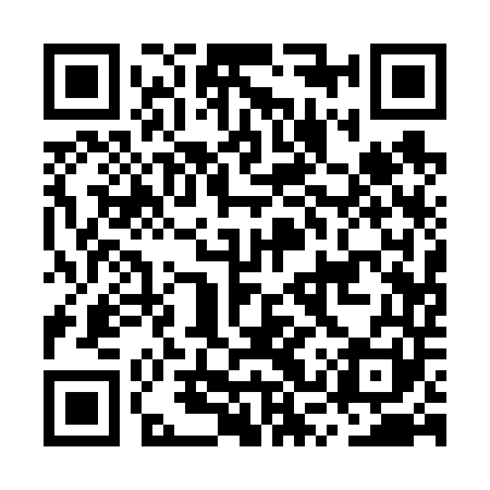QR code for MSQ641