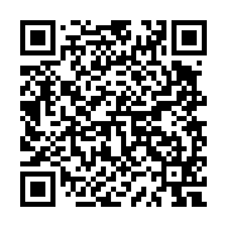 QR code for MSR495