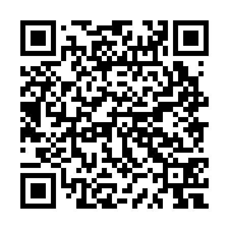 QR code for MSX370
