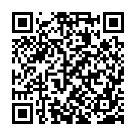 QR code for NAN376