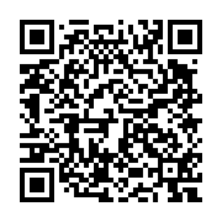 QR code for NEQ411
