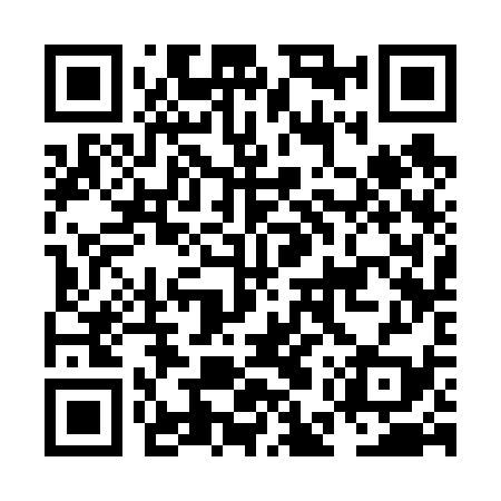QR code for NES639