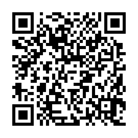 QR code for NGA384