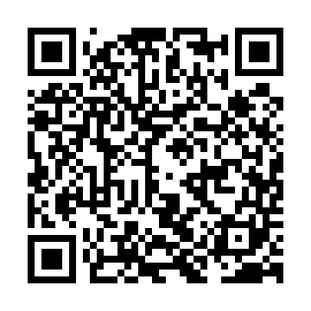 QR code for NIQ541