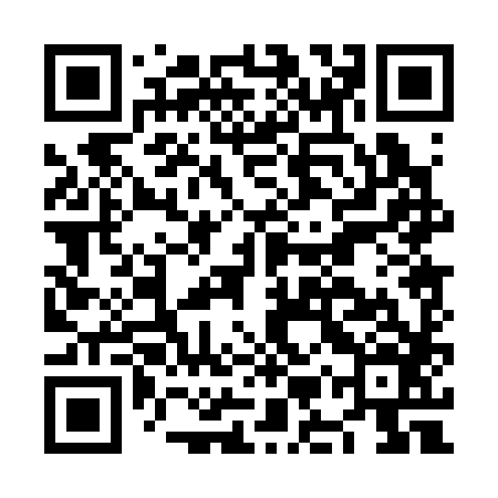 QR code for NMP386