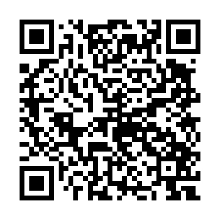 QR code for NNS447