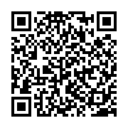QR code for NPG511