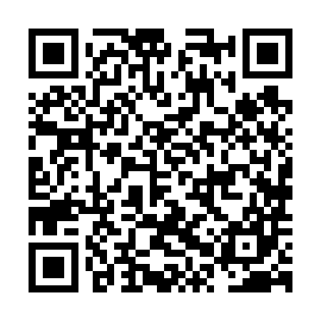 QR code for NPX687
