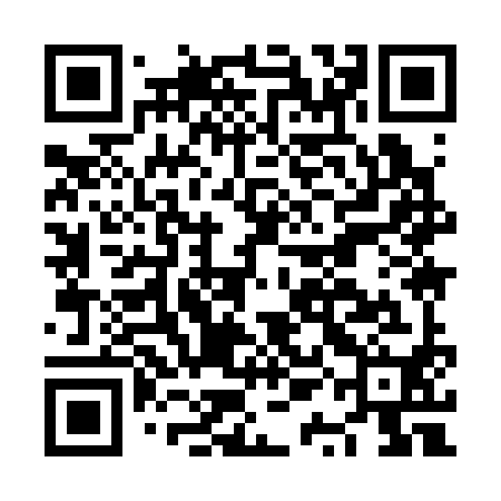 QR code for NQI390