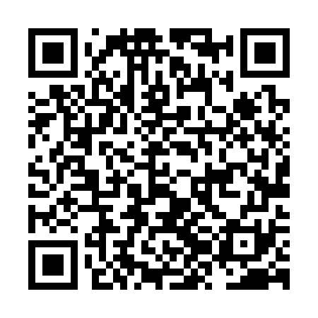 QR code for NZL371