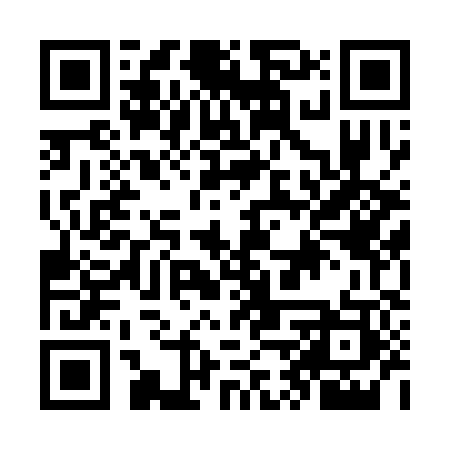 QR code for OPT383