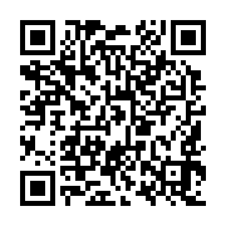 QR code for ORY393