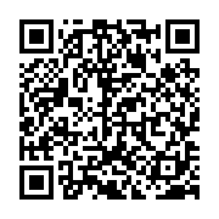 QR code for PAO291