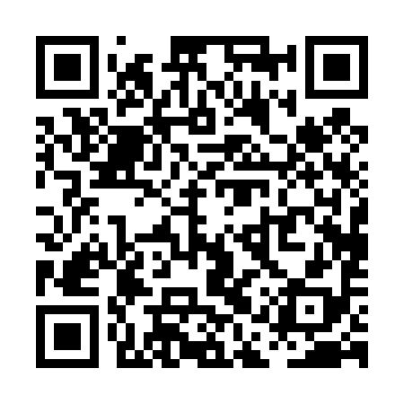 QR code for PAP498