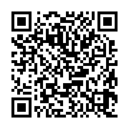 QR code for PAS289