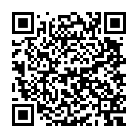 QR code for PAZ413
