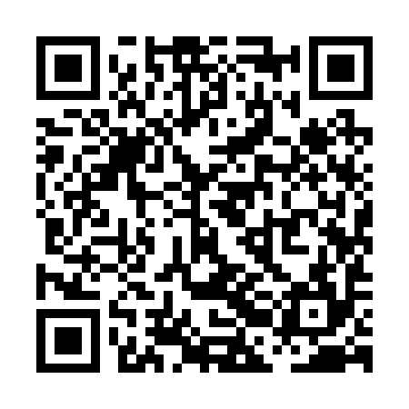 QR code for PBI294