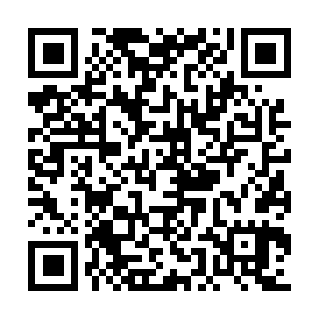 QR code for PEF565