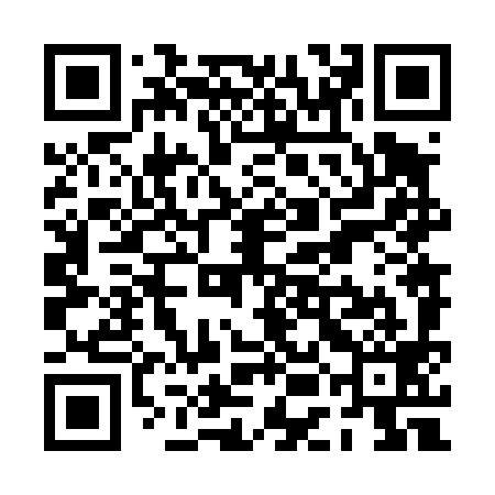 QR code for PEN499