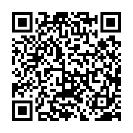 QR code for PEP733