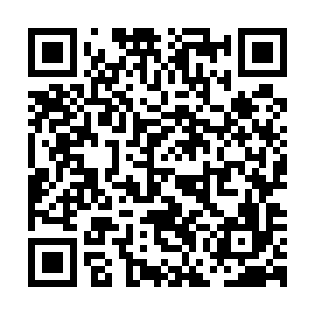 QR code for PGO596