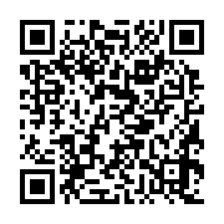QR code for PGU378
