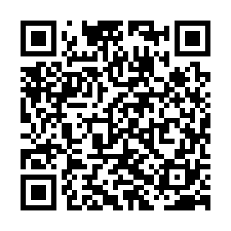QR code for PHY370