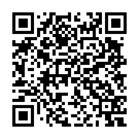 QR code for PJP433