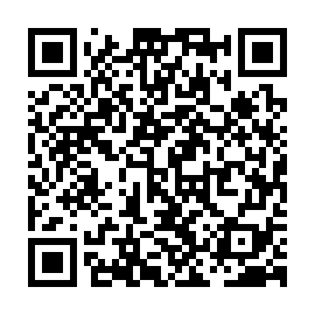 QR code for PKU379