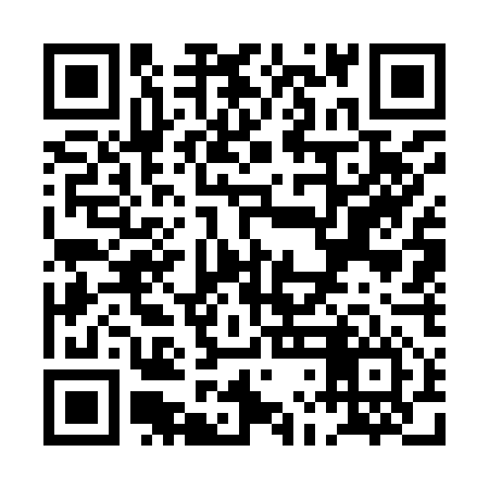 QR code for PLG956
