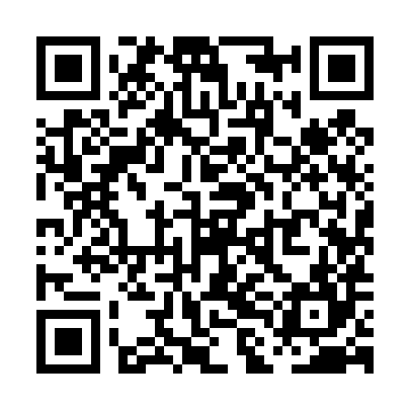 QR code for PLI484