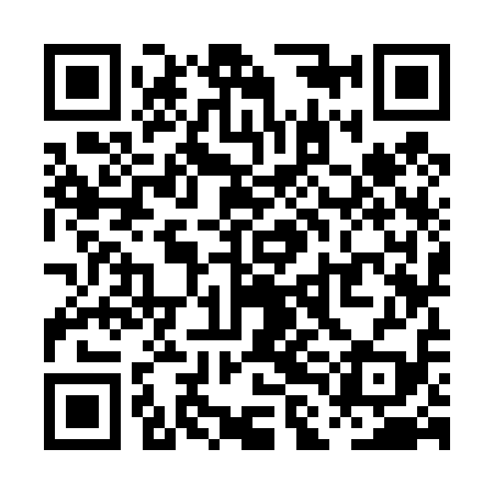 QR code for PLK419