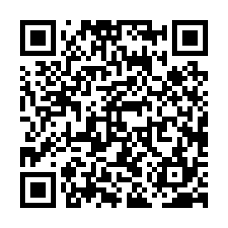 QR code for PMP234
