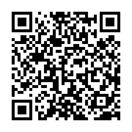 QR code for PMP438