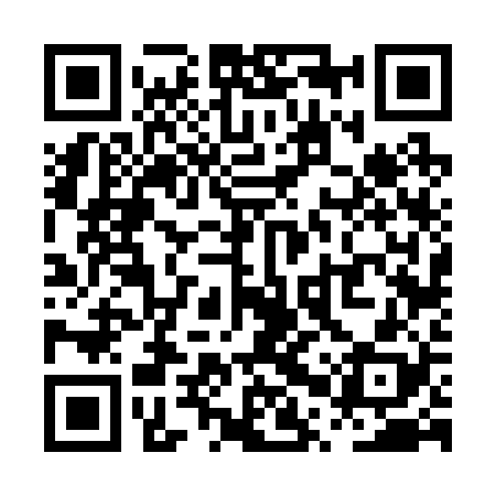QR code for PPV228